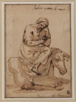 Acidia vestita di nero - Sloth seated on a donkey