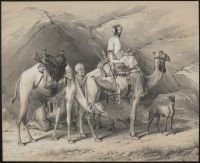Dromedaries Halting in the Eastern Desert