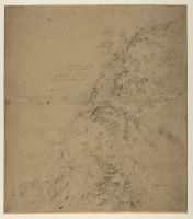 Study of blackthorn with bramble and other plants