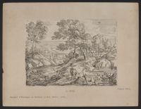 Landscape with cows