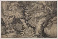 Men and dog on a path above a waterfall in a forest