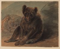 Two bears, one seated and one sleeping