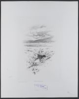 The River Tweed, Scotland (A series of sixteen engravings of the  River Tweed, Scotland)