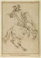 Horse and rider, seen from behind