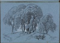 Trees at Bolton Bridge (recto)
