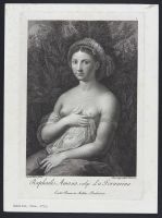 Raphael's Amasia, known as La Fornarina (Raphaelis Amasia, vulgo La Fornarina)