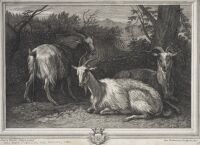 Landscape with goats