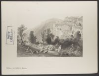Seleucia