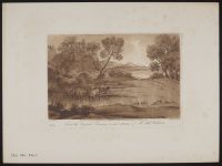 Landscape with cattle