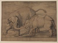 Fight between an elephant and rhinoceros
