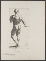 Male figure seen from behind
