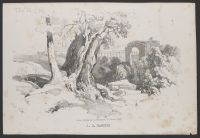 Trees in a landscape with a ruined building in the background