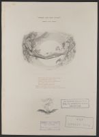 Songs of Shakespeare