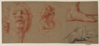 Studies of hands, a head and a foot for 'The Triumph of Mordecai'