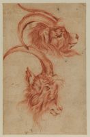 Two studies of the head of a goat