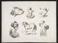 Studies of figures and animals