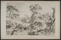 Landscape with a cascading stream