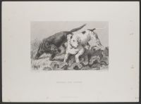 Pointer and Setter