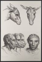 Four male human heads and two donkey heads