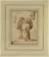 Donkey laden with packs