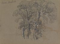 Trees on Arran