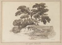 Page of an album