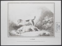 Two dogs, one lying down with a bone