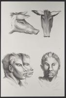 Two pig heads and three male human heads